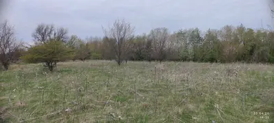 01.03 Для ведення особистого селянського господарства — мініатюра фото 2