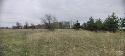 01.03 Для ведення особистого селянського господарства — мініатюра фото 4