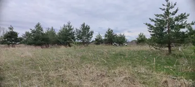 01.03 Для ведення особистого селянського господарства — мініатюра фото 5