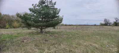 01.03 Для ведення особистого селянського господарства — мініатюра фото 6