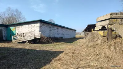 Ферма Склад зерносховище цех Виробництво скотарство курник Броварський 70сот — мініатюра фото 6