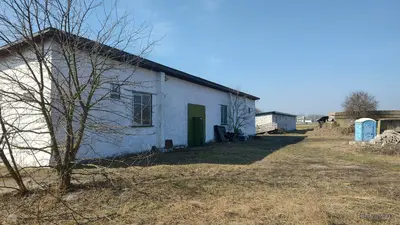 Ферма Склад зерносховище цех Виробництво скотарство курник Броварський 70сот — мініатюра фото 9