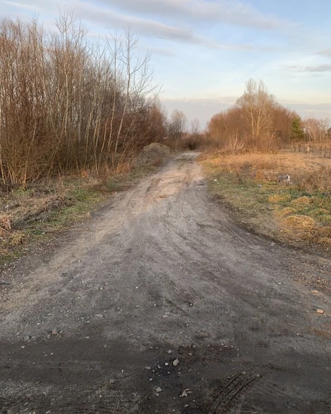 Ділянка 20 соток біля річки Десни вихід до води — фото 1 з 1