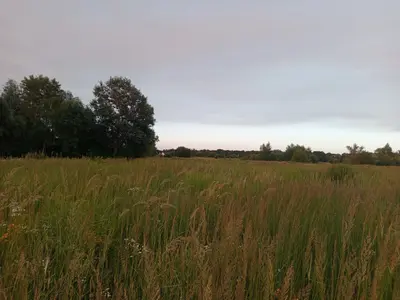 Продаж земельної ділянки 0.2га — мініатюра фото 2