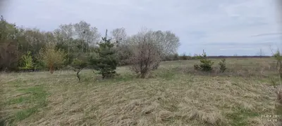 01.03 Для ведення особистого селянського господарства — мініатюра фото 8