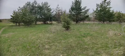 01.03 Для ведення особистого селянського господарства — мініатюра фото 9