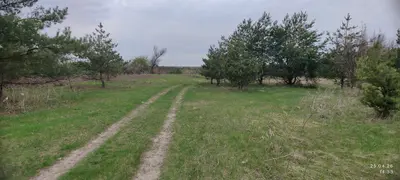 01.03 Для ведення особистого селянського господарства — мініатюра фото 10