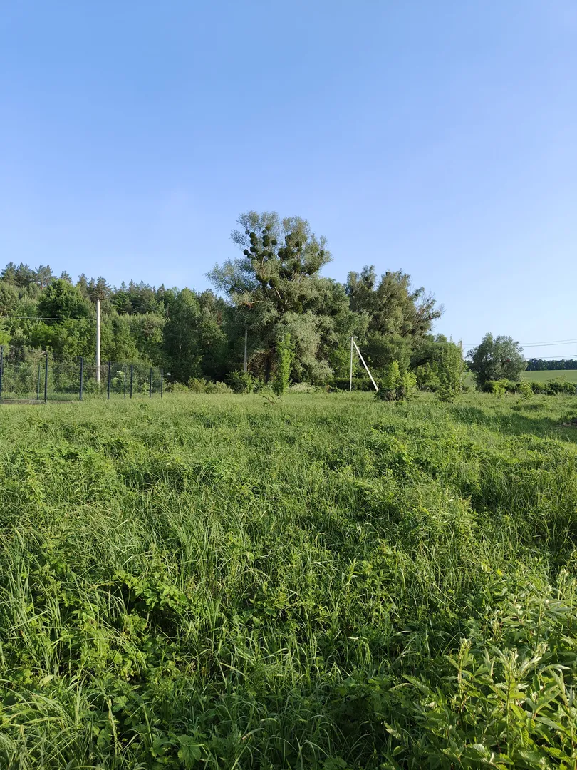 Продаж земельної ділянки в селі Горбовичі — фото 4 з 6