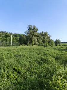 Продаж земельної ділянки в селі Горбовичі — мініатюра фото 4