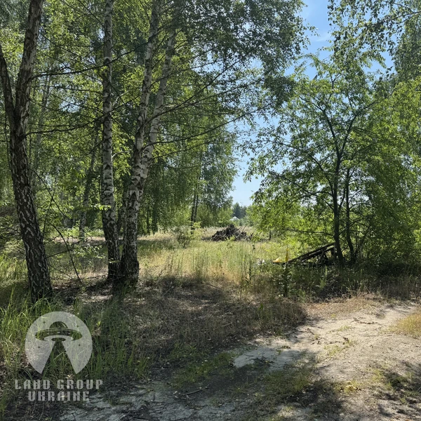 Ділянка 10 соток у котеджному масиві «Куба» | Дмитрівка | Під забудову — фото 2 з 8
