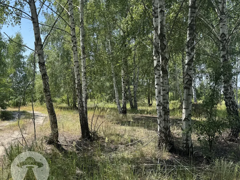 Ділянка 10 соток у котеджному масиві «Куба» | Дмитрівка | Під забудову — фото 4 з 8