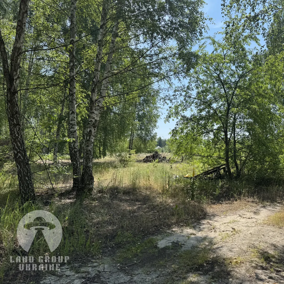 Ділянка під забудову в елітному масиві «Куба», Дмитрівка — фото 6 з 6