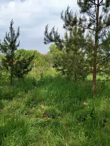 Продам землю Новогородецьке Житомирська обл річка озеро ліс — мініатюра фото 1