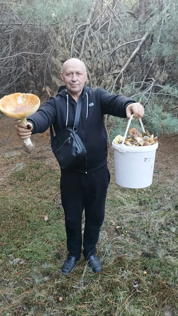 Продам землю Новогородецьке Житомирська обл річка озеро ліс — фото 4 з 11