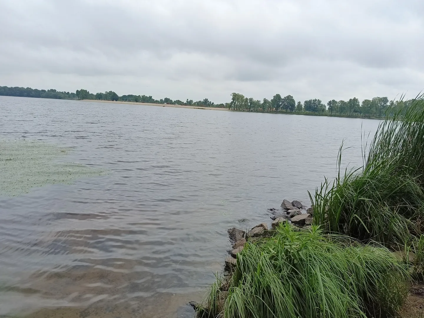 Продам землю Новогородецьке Житомирська обл річка озеро ліс — фото 6 з 11