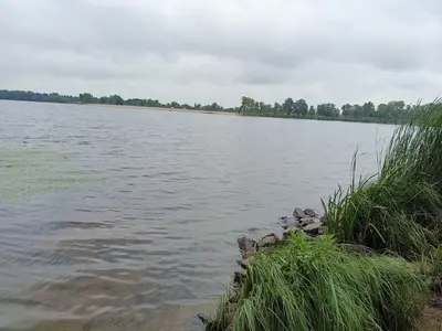 Продам землю Новогородецьке Житомирська обл річка озеро ліс — мініатюра фото 6