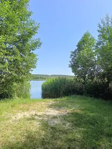 Продам землю Новогородецьке Житомирська обл річка озеро ліс — мініатюра фото 7