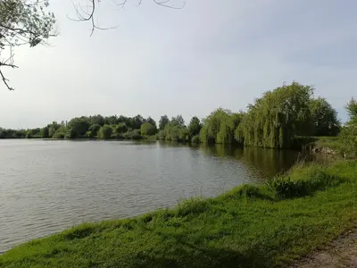 Продам землю Новогородецьке Житомирська обл річка озеро ліс — мініатюра фото 8