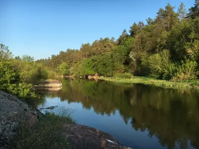 Продам землю Новогородецьке Житомирська обл річка озеро ліс — мініатюра фото 9