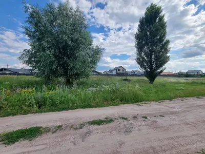 Петропавліське Продаж 12 соток — мініатюра фото 7