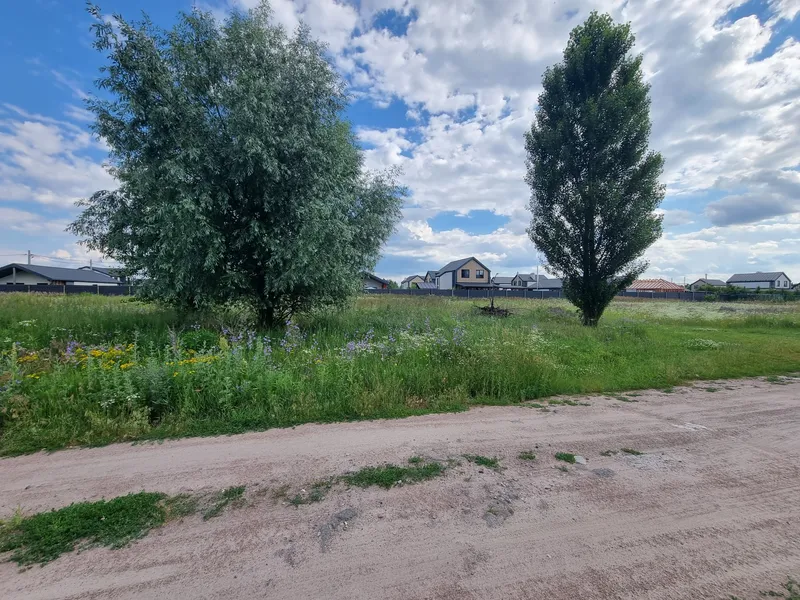 Петропавліське Продаж 12 соток — фото 7 з 10