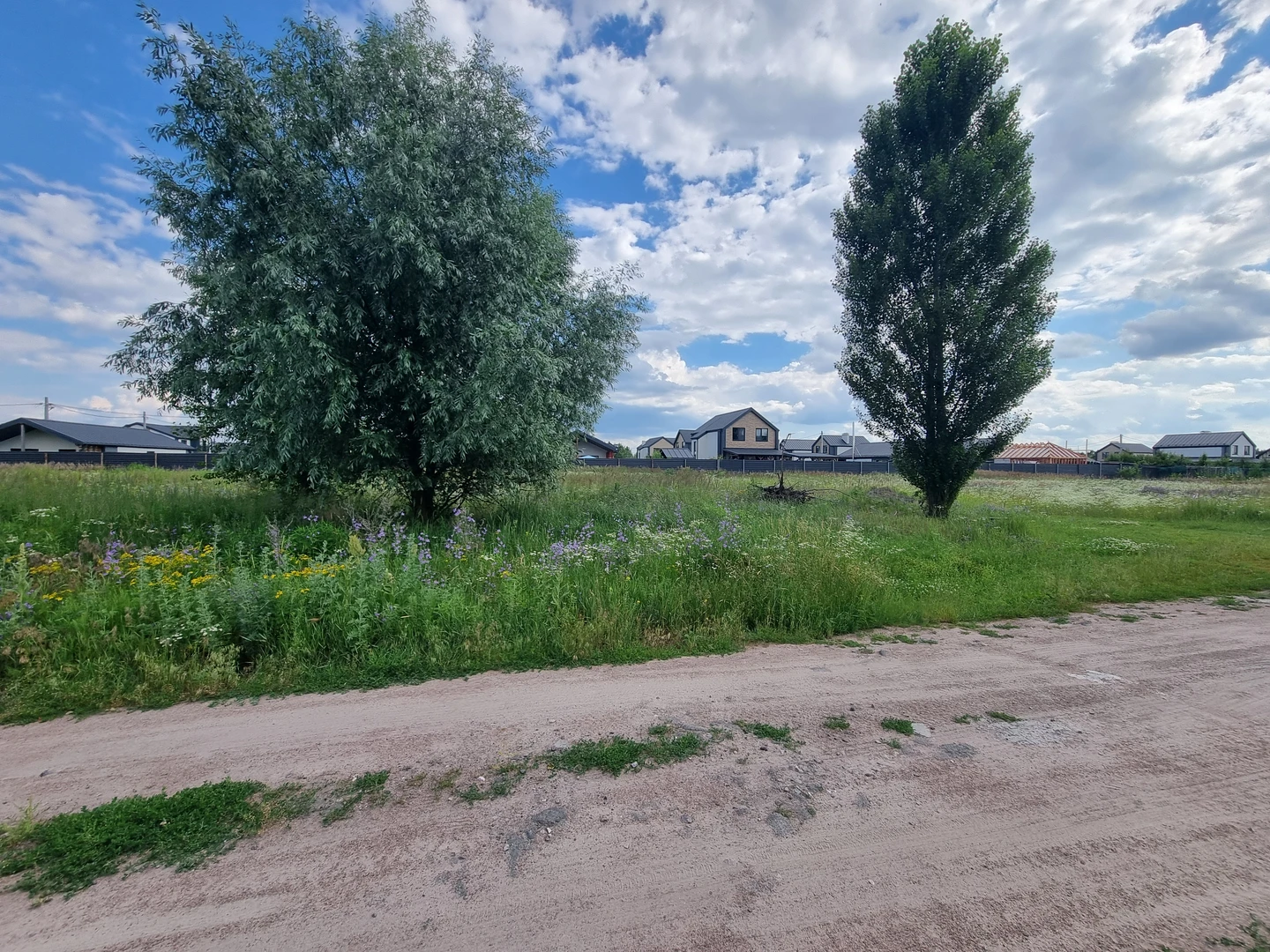 Петропавліське Продаж 12 соток — фото 7 з 10