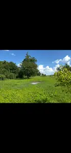 продаж земельної ділянки — мініатюра фото 2