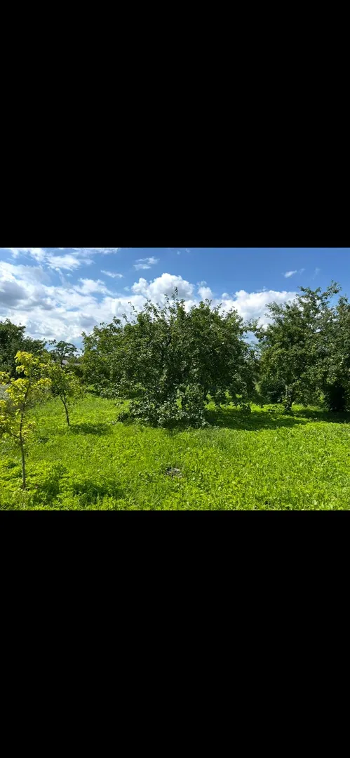 продаж земельної ділянки — фото 3 з 3