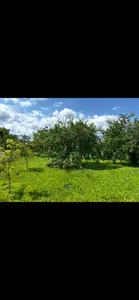 продаж земельної ділянки — мініатюра фото 3