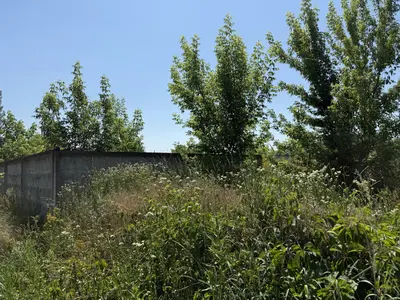 Продаж земельної ділянки 11.95 соток — мініатюра фото 14