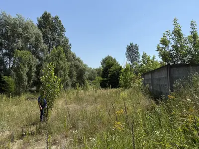 Продаж земельної ділянки 11.95 соток — мініатюра фото 15