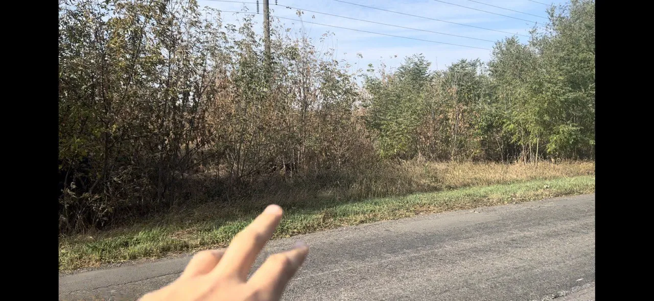 Продаю 2 га осг  біля асфальт дороги. Ідеально під ПРОМИСЛОВІСТЬ — фото 3 з 5