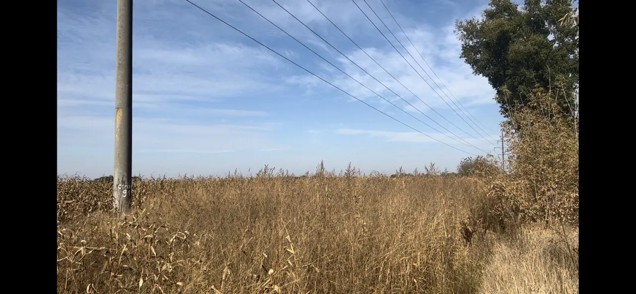 Продаю 2 га осг  біля асфальт дороги. Ідеально під ПРОМИСЛОВІСТЬ — фото 5 з 5