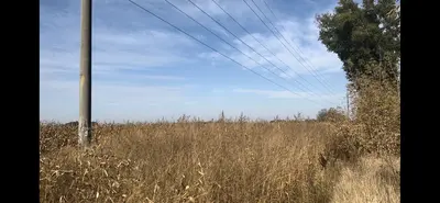 Продаю 2 га осг  біля асфальт дороги. Ідеально під ПРОМИСЛОВІСТЬ — мініатюра фото 5