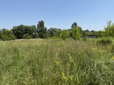 Продаж земельної ділянки 11.95 соток — мініатюра фото 2