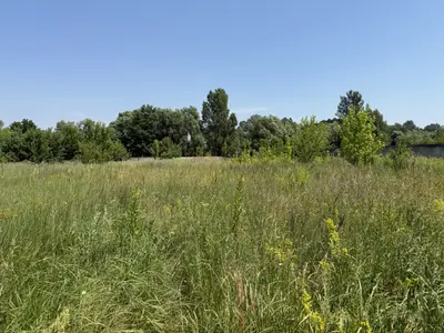 Продаж земельної ділянки 11.95 соток — мініатюра фото 3
