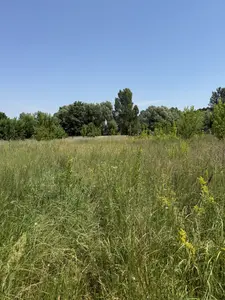 Продаж земельної ділянки 11.95 соток — мініатюра фото 4