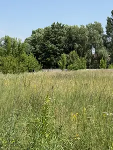 Продаж земельної ділянки 11.95 соток — мініатюра фото 8