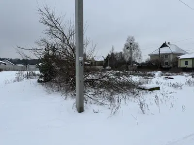 Продаж земельної ділянки 12 соток — мініатюра фото 5