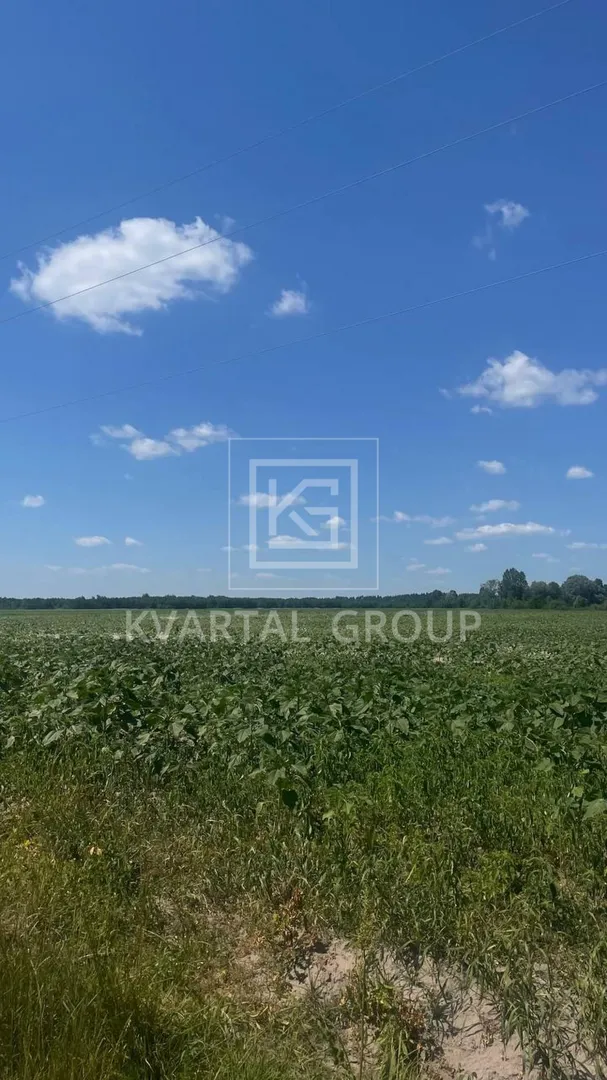 Продаж 8га під ОСГ — фото 4 з 9