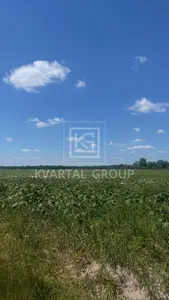 Продаж 8га під ОСГ — мініатюра фото 4