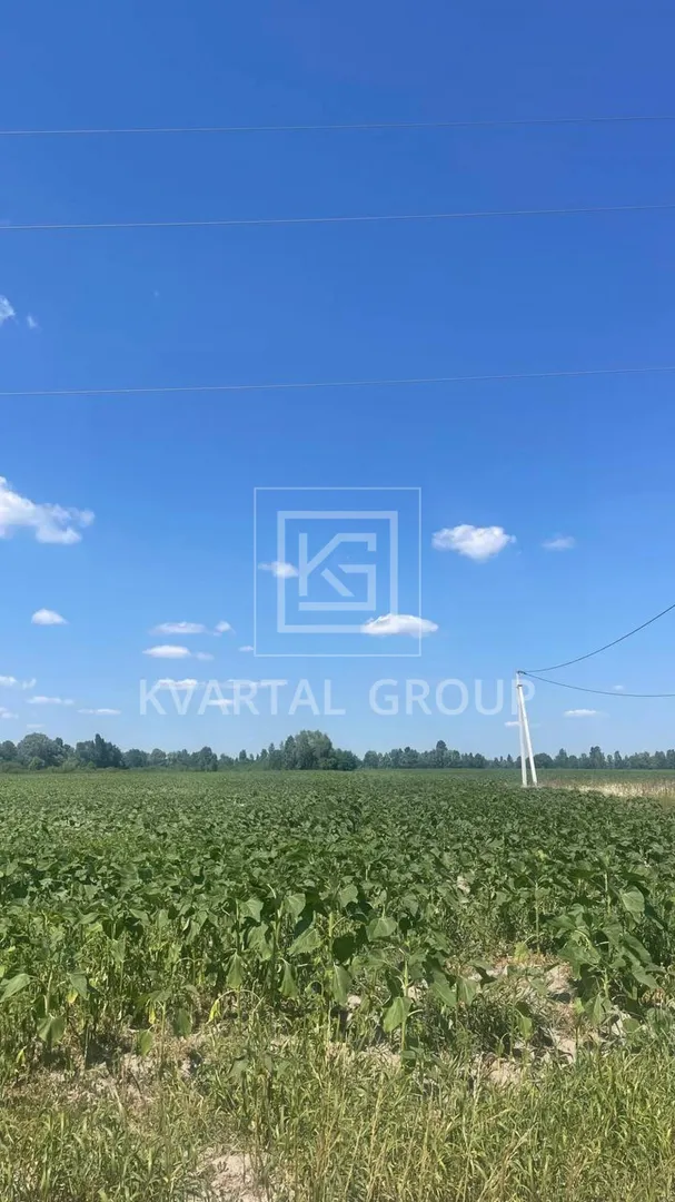 Продаж 8га під ОСГ — фото 5 з 9