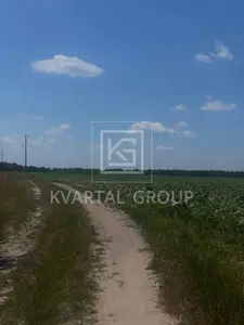 Продаж 8га під ОСГ — мініатюра фото 6