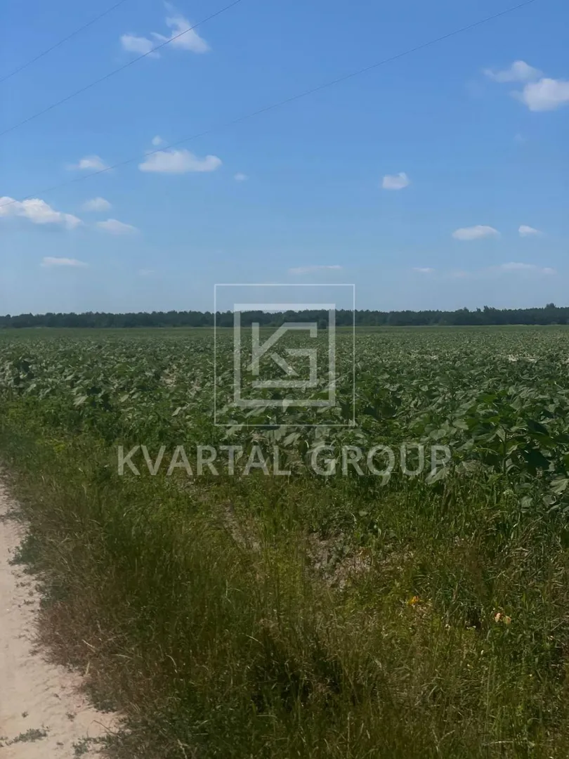 Продаж 8га під ОСГ — фото 7 з 9