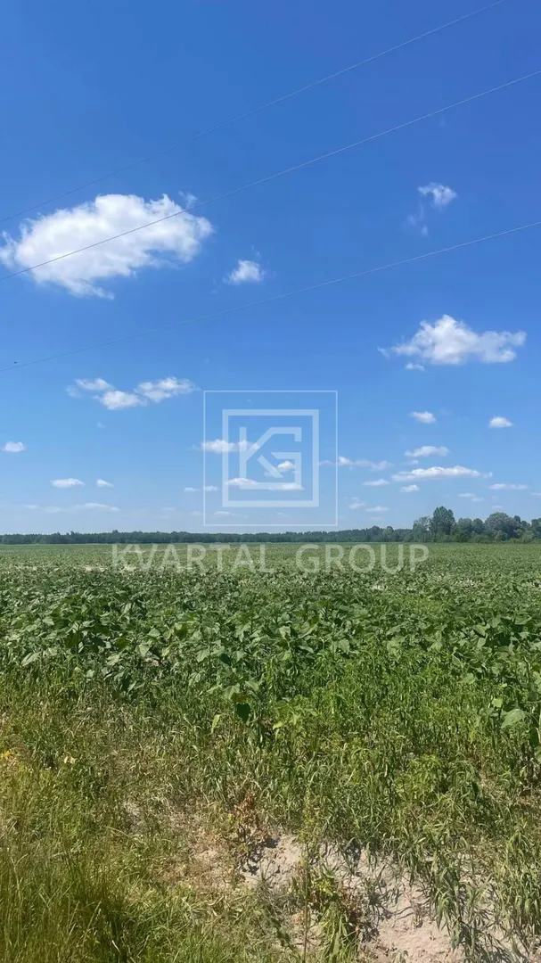 Продаж 8га під ОСГ — фото 8 з 9
