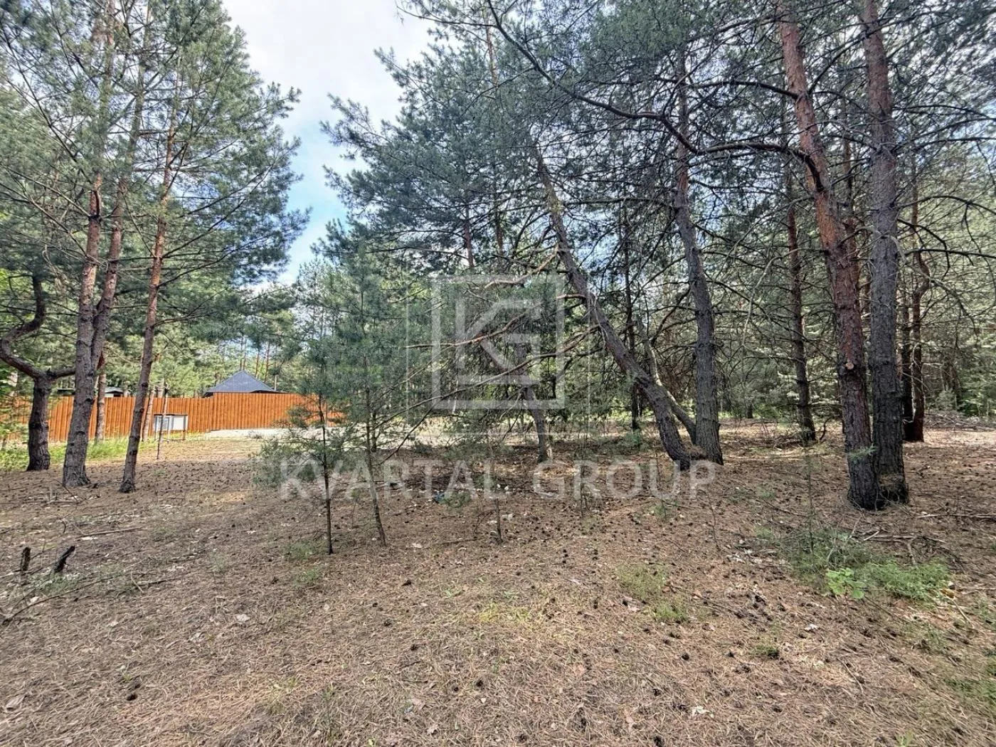 Ділянка в сосновому лісі — фото 1 з 6