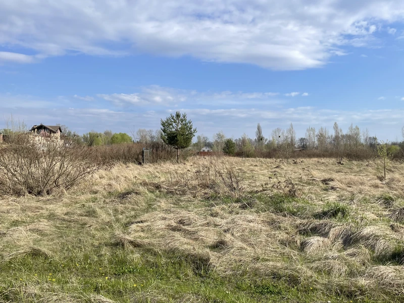 Ексклюзивні ділянки на березі Десенки (затока Доманя) — Деснянський р-н. Троєщина — фото 3 з 20