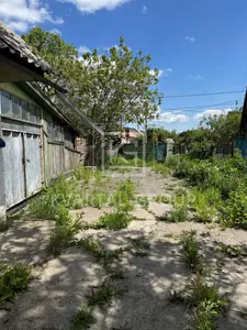 Будинок в житловому стані — мініатюра фото 3
