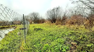 Квасилів 6 сот — мініатюра фото 4