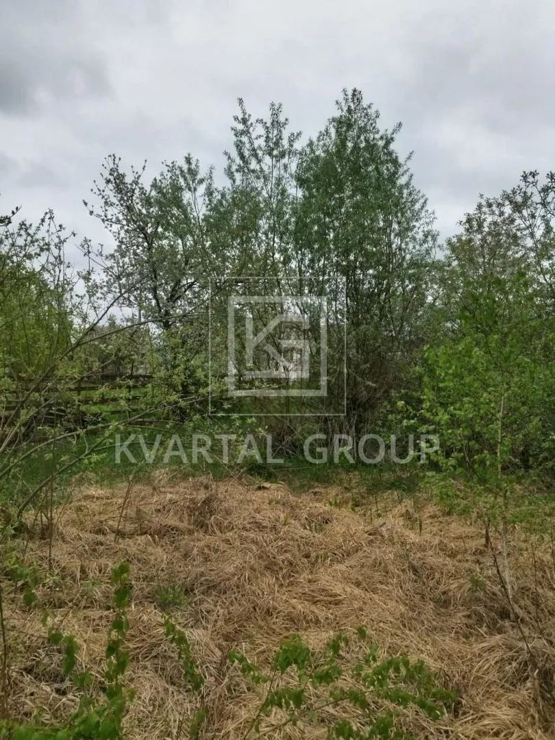 Продаж дачної ділянки в садовому товаристві. — фото 2 з 6